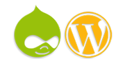 drupal wordpress webdesign 4